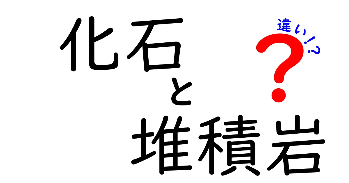 化石と堆積岩の違いをわかりやすく解説！あなたも地球の歴史を知ろう