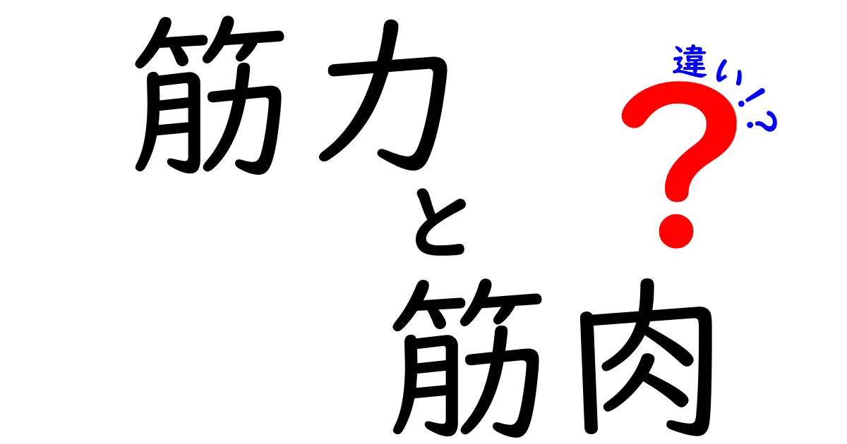 筋力と筋肉の違いを徹底解説！その重要性とは？