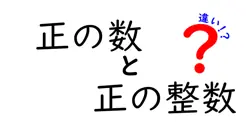 正の数と正の整数の違いは？