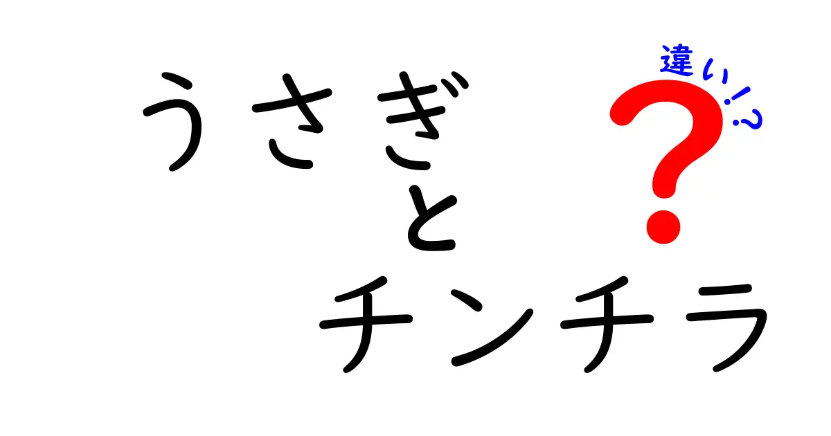 うさぎとチンチラの違いとは？見た目から性格まで徹底比較！