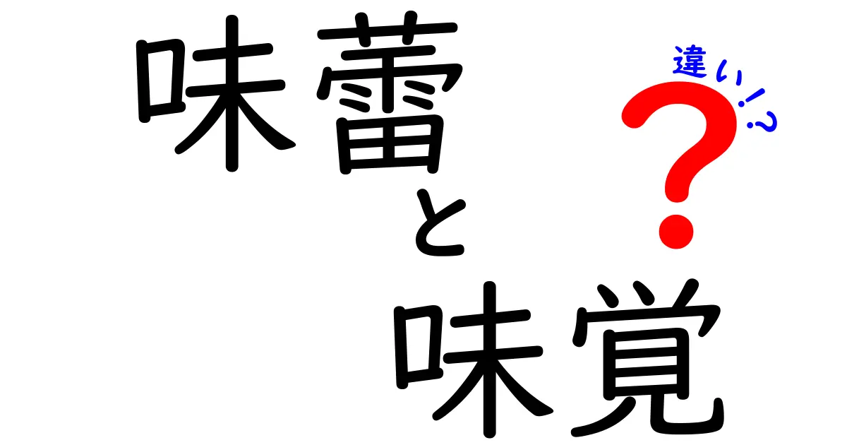 味蕾と味覚の違いを徹底解説！あなたの味わいを深めるために知っておきたいこと