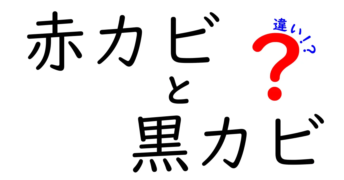 赤カビと黒カビの違いを徹底解説！見分け方や対策法も紹介