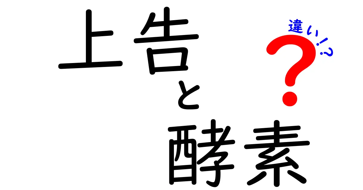 上告と酵素の違いを徹底解説！あなたはどちらを選ぶ？