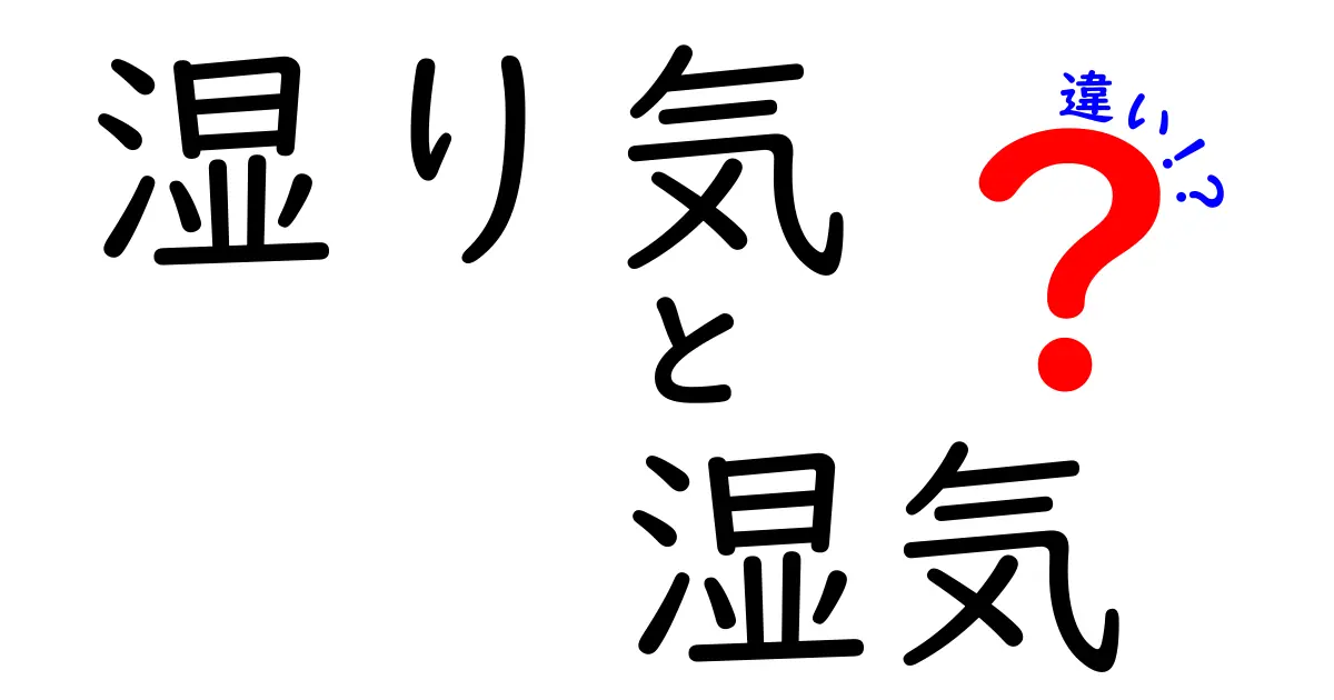 湿り気と湿気の違いを徹底解説！あなたの知らない水分の世界