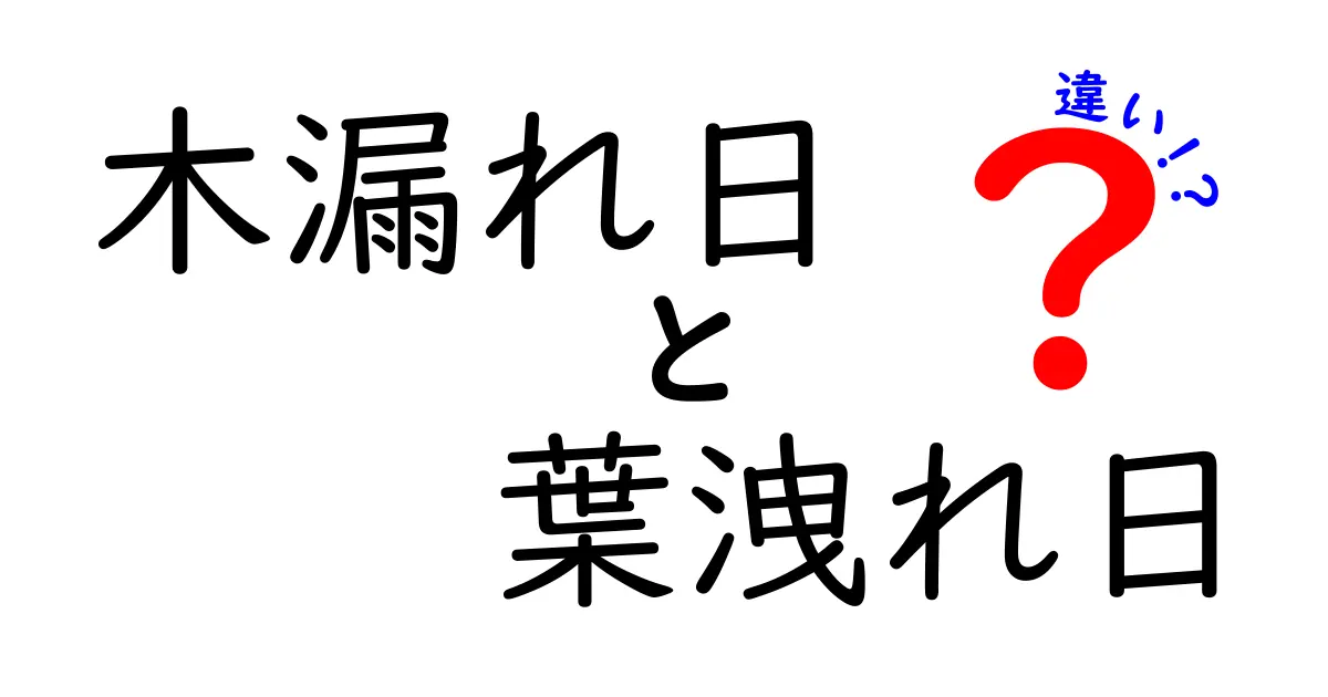 木漏れ日と葉洩れ日、知っておくべき違いとは？