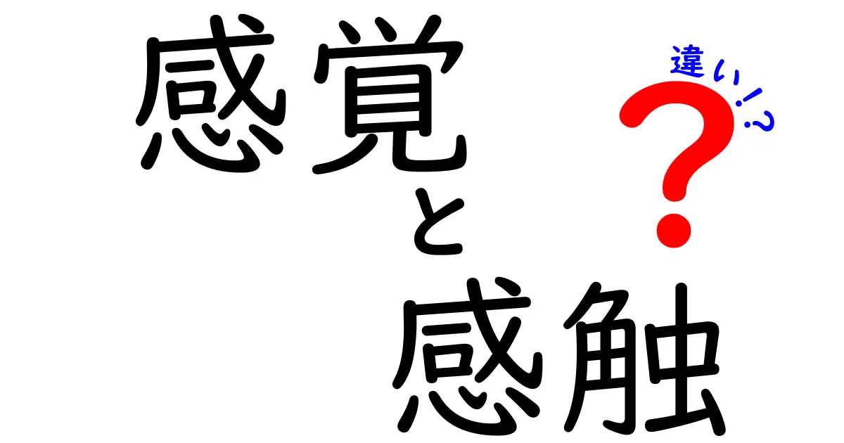 感覚と感触の違いとは？分かりやすく解説します！