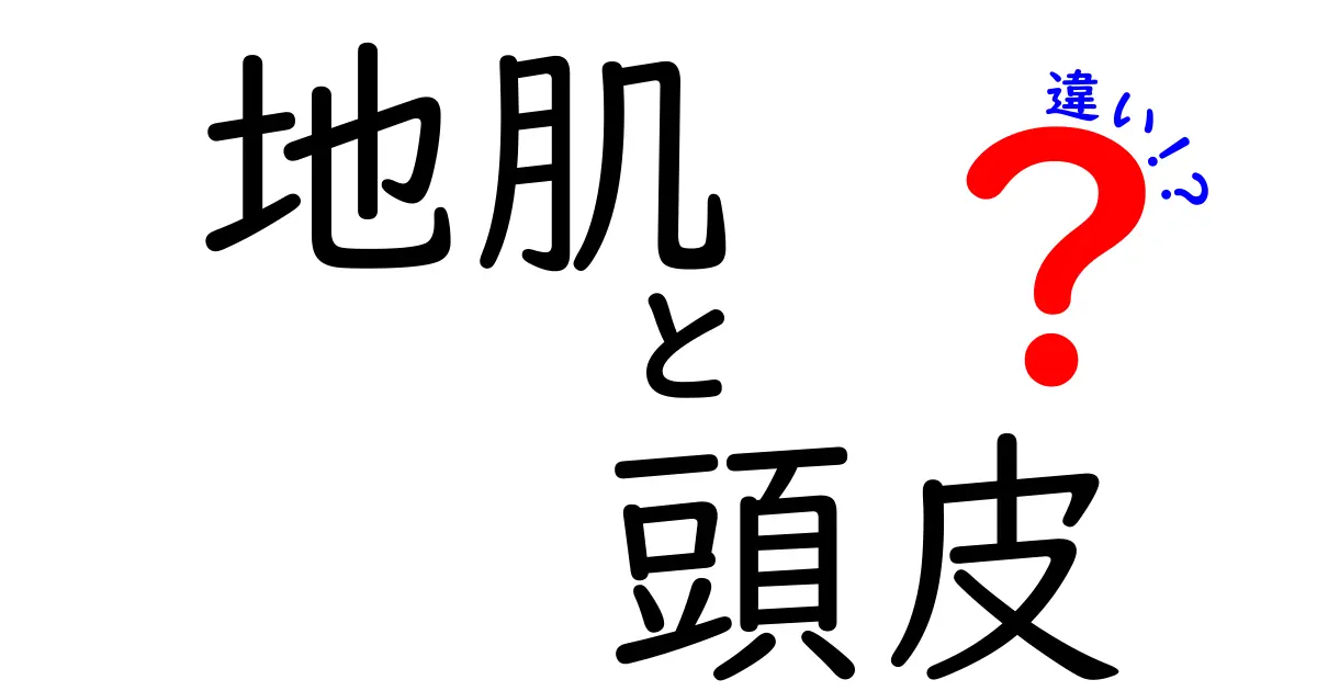 地肌と頭皮の違い：知っておくべきポイント