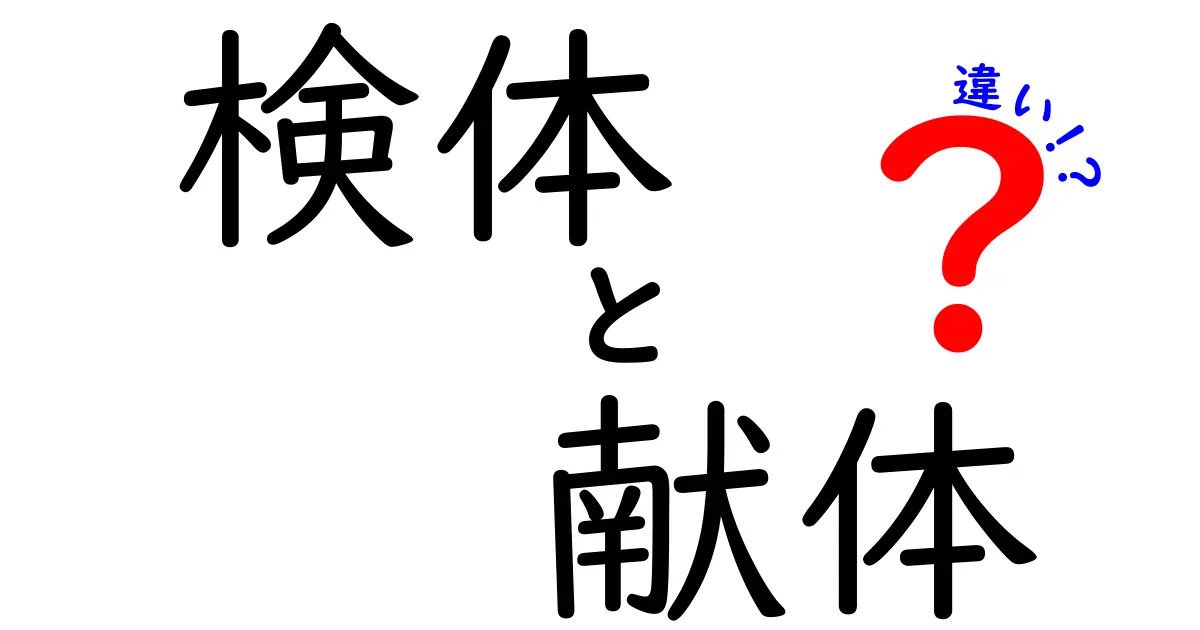 検体と献体の違いをわかりやすく解説！あなたの知らない二つの言葉の意味