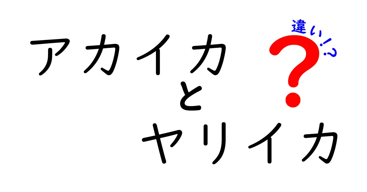 アカイカとヤリイカの違いを徹底解説！食材としての特徴と選び方