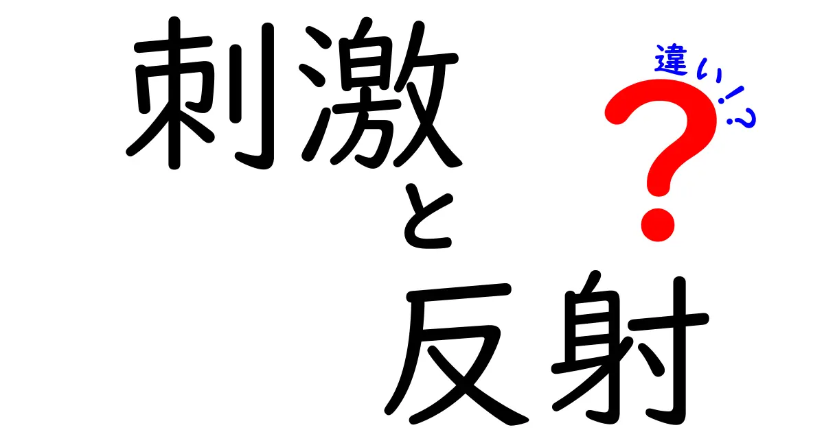 刺激と反射の違いを簡単に解説！あなたの体の仕組みを知ろう