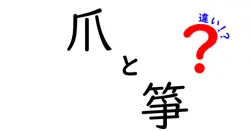 爪と箏の違いは？