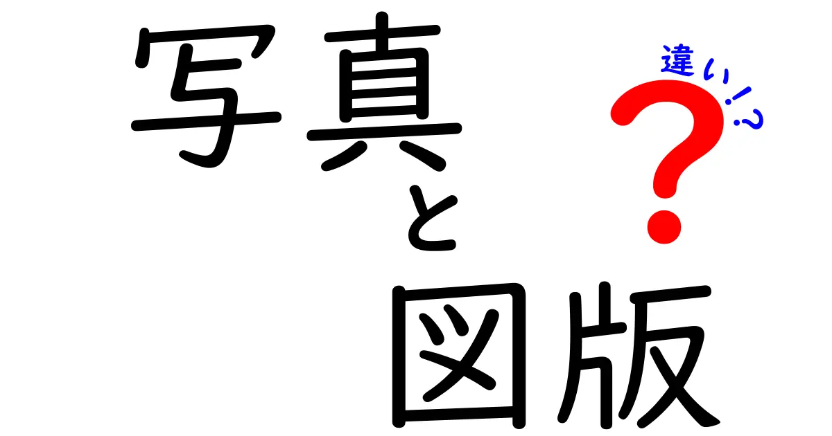 写真と図版の違いとは？使い方や特徴を徹底解説！