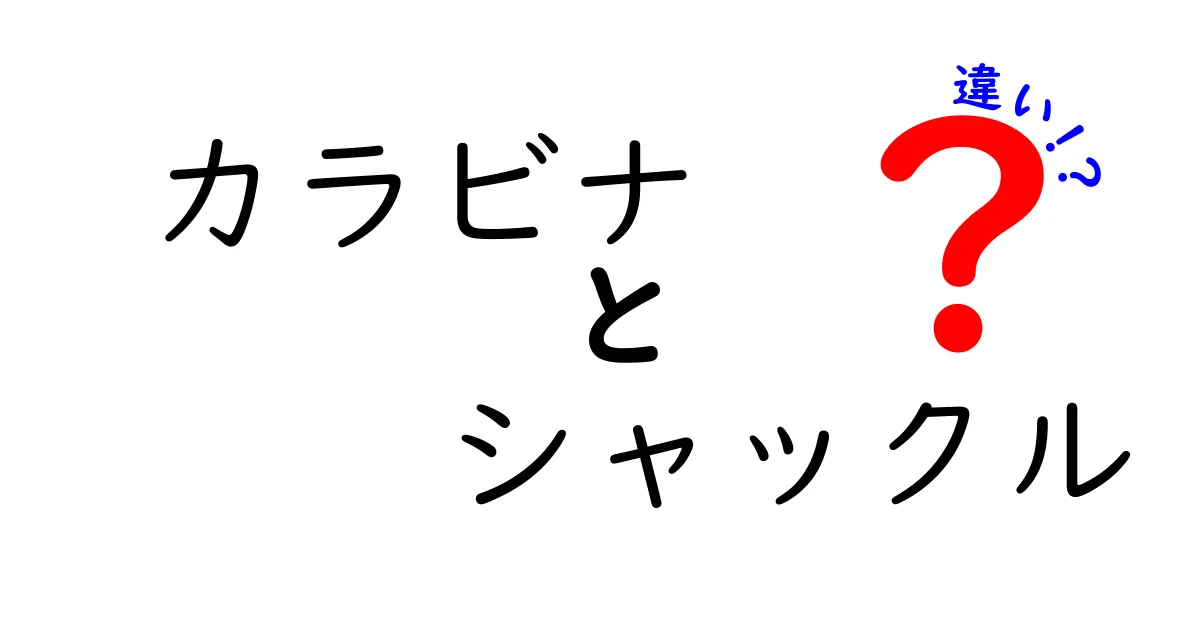 カラビナとシャックルの違いとは？使い方や特徴を徹底解説