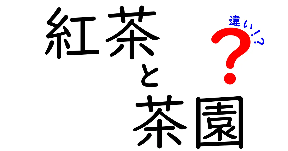 紅茶と茶園の違い: 知られざるお茶の世界を解明する！