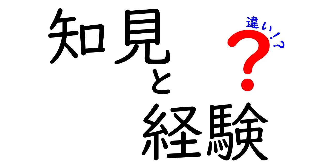 知見と経験の違いを理解しよう！あなたの成長を助ける2つの力