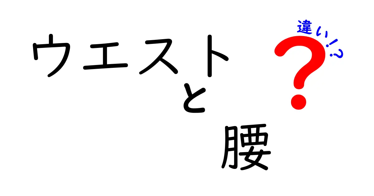 ウエストと腰の違いを徹底解説！あなたの知らない体の話