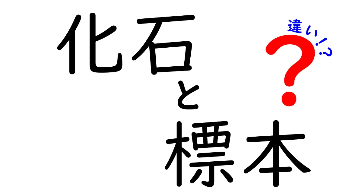 化石と標本の違いを徹底解説！それぞれの魅力とは？