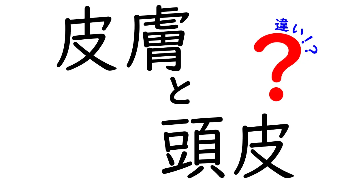 皮膚と頭皮の違いとは？健康とケアのポイントを解説！