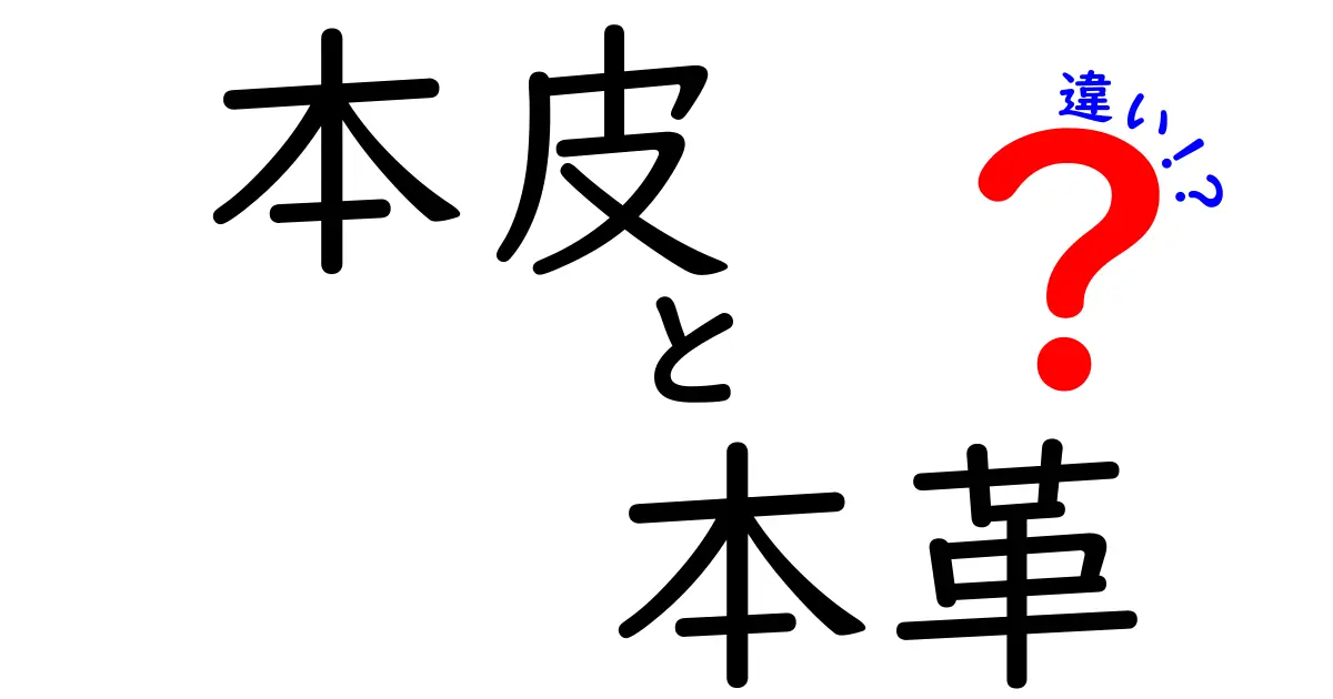 本皮と本革の違いを徹底解説！あなたは知っている？