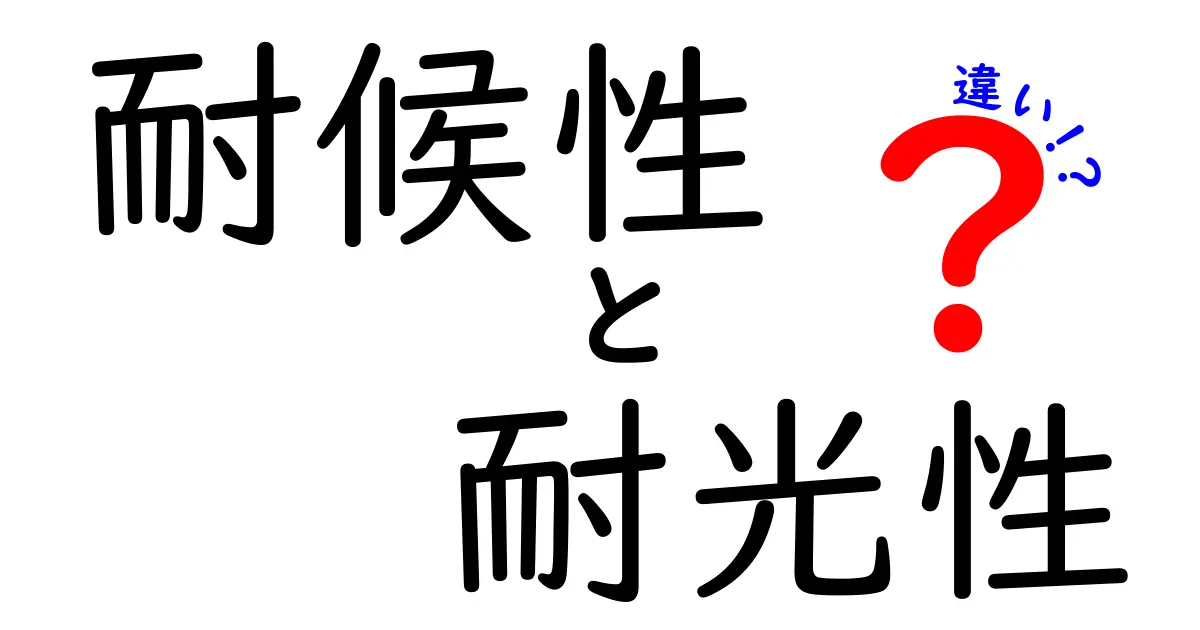 耐候性と耐光性の違いを徹底解説!これからの選び方はこれだ