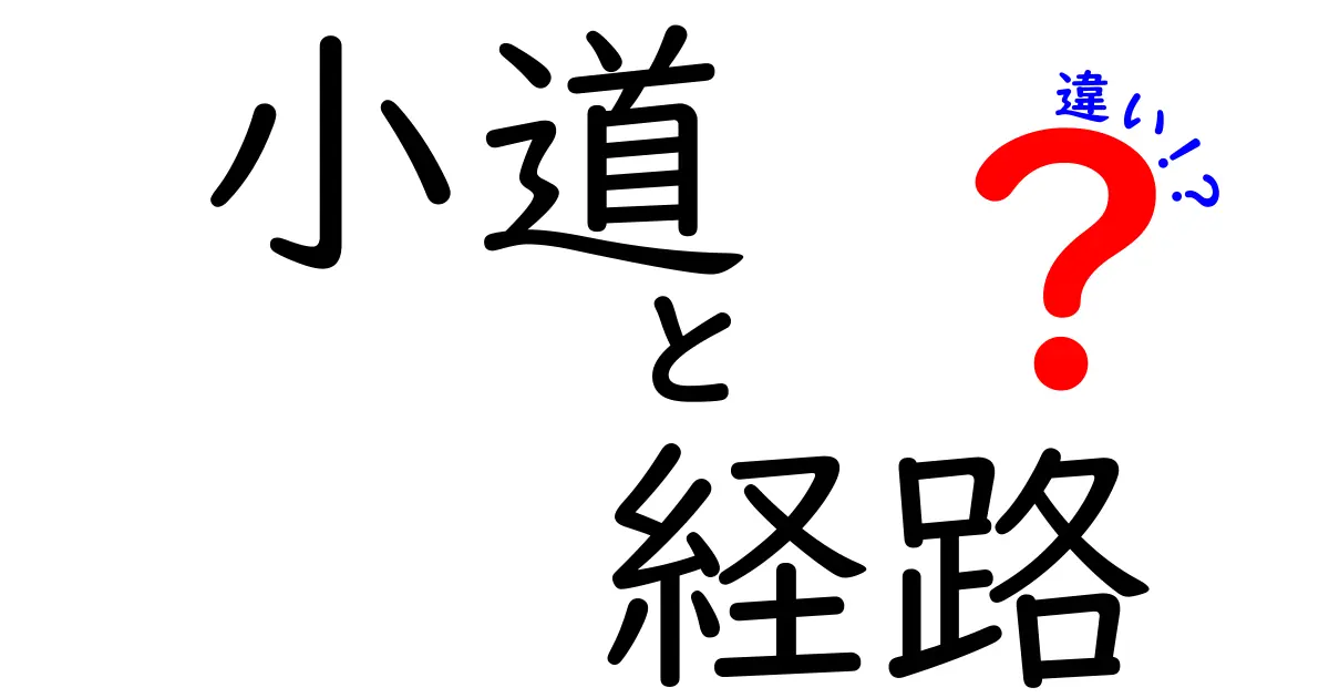 小道と経路の違いを徹底解説！あなたの道の選び方は？