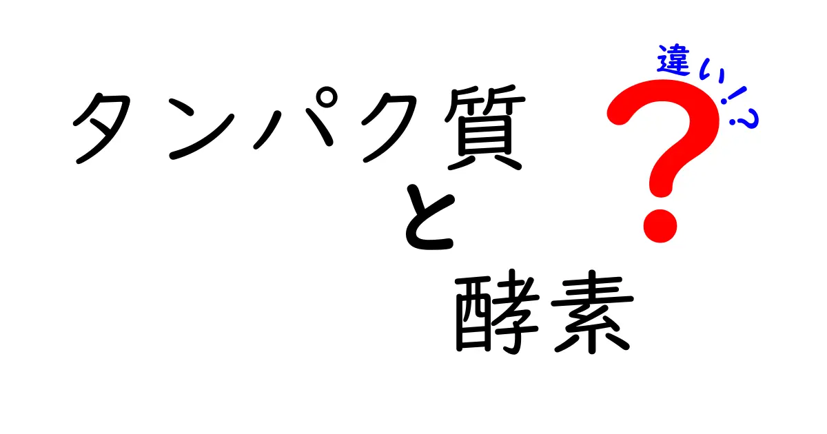 タンパク質と酵素の違いを分かりやすく解説！