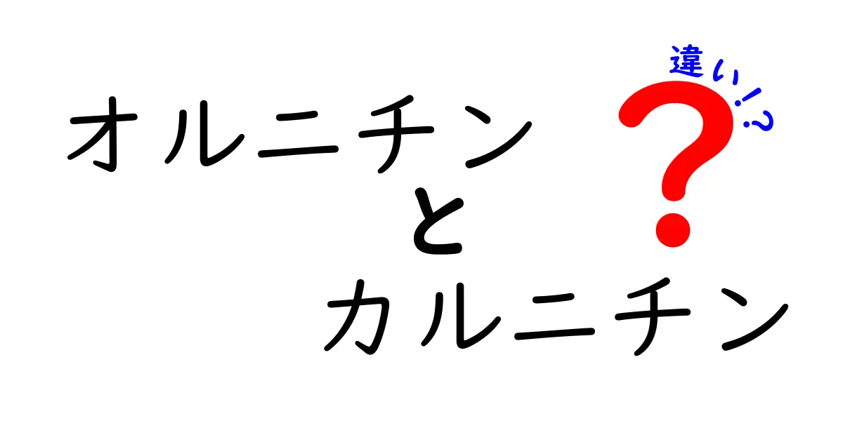 オルニチンとカルニチンの違いとは？それぞれの特徴を徹底解説！