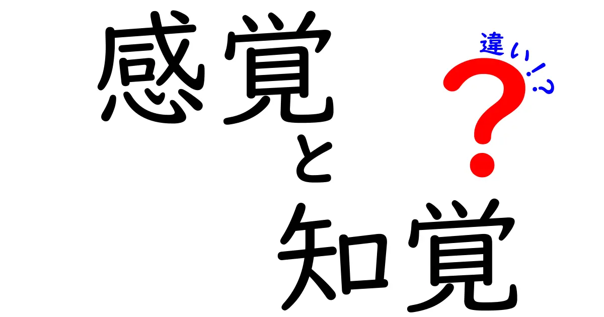 感覚と知覚の違いを徹底解説！私たちの認識の秘密に迫る