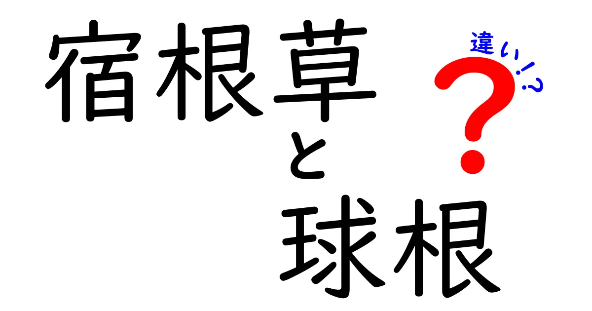 宿根草と球根の違いを徹底解説！ガーデニングを楽しむための基本知識