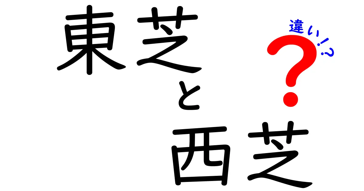 東芝と西芝の違いを徹底解説！何が違うのか知っていますか？