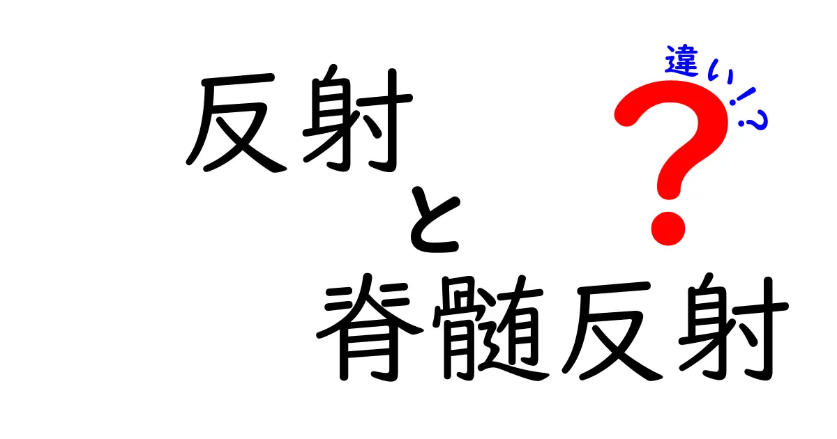 反射と脊髄反射の違いとは? その仕組みや役割を解説!