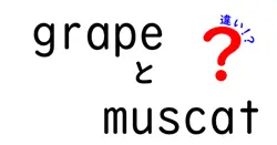 grapeとmuscatの違いは？