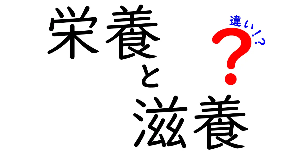 栄養と滋養の違いを理解しよう！健康な生活の基本とは