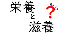 栄養と滋養の違いは？