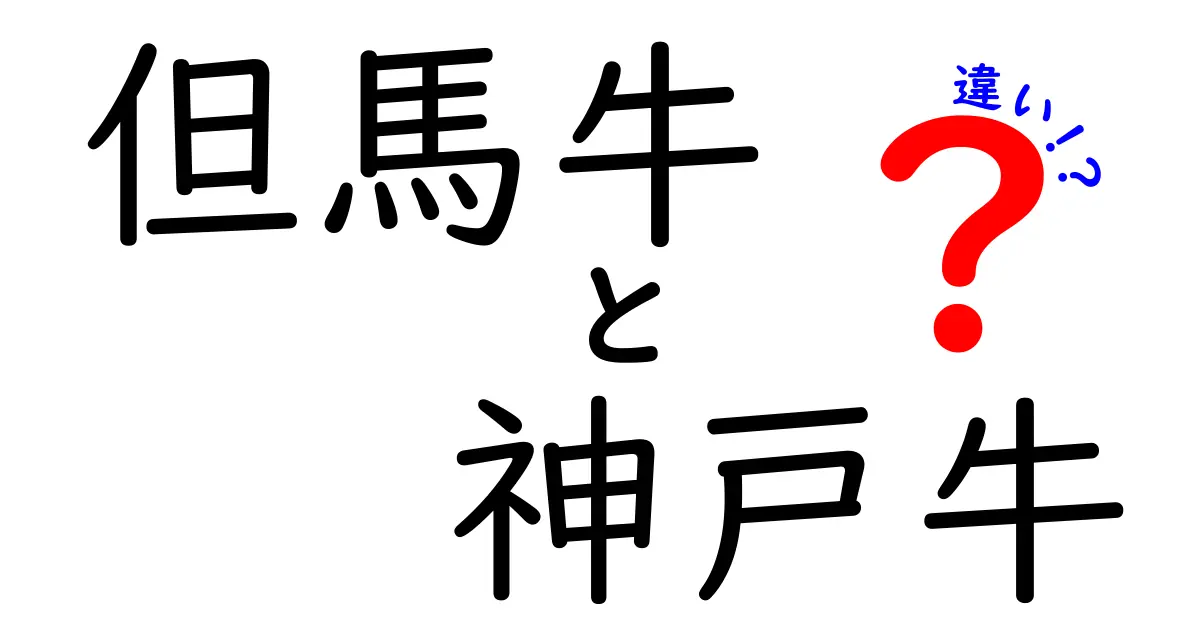 但馬牛と神戸牛の違いを徹底解説！どっちが美味しいの？