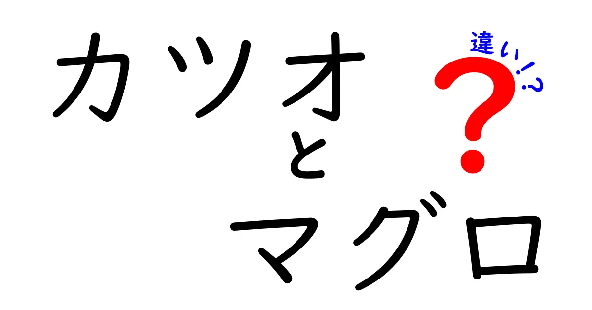 カツオとマグロの違いとは？分かりやすく解説！