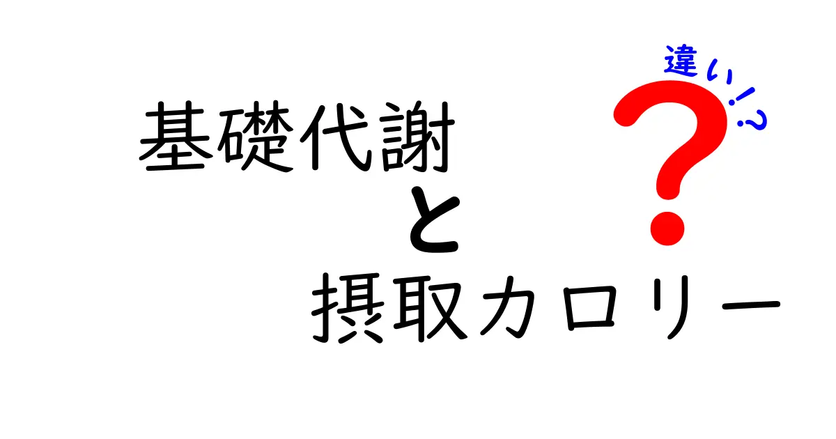 基礎代謝と摂取カロリーの違いをわかりやすく解説！