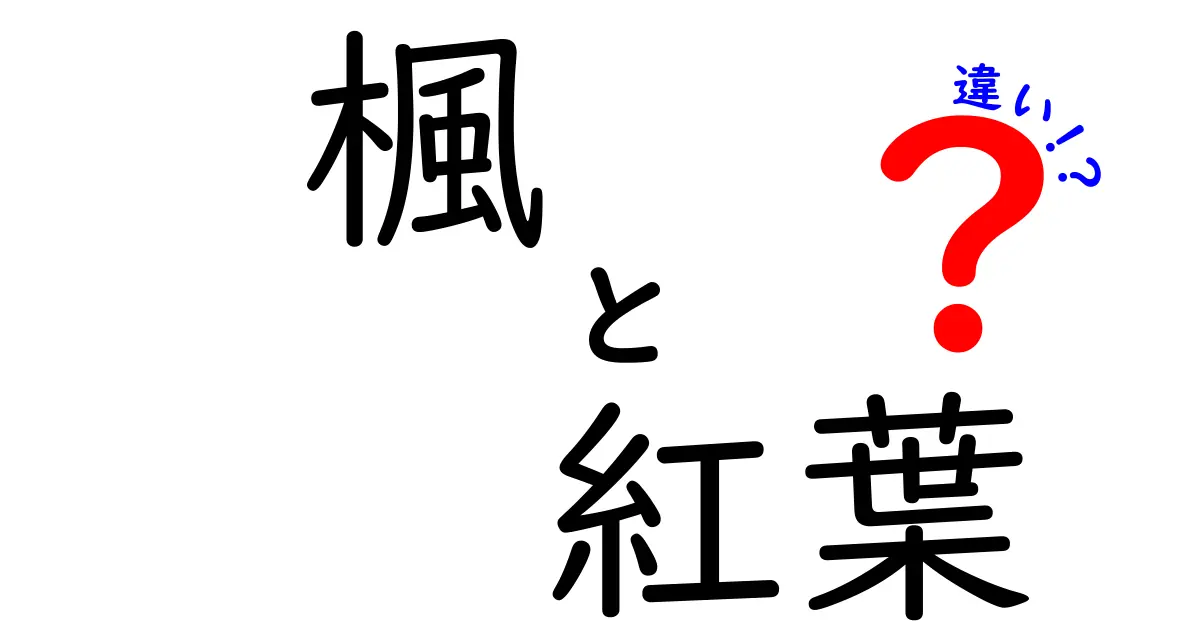 楓と紅葉の違いを徹底解説！秋の風物詩を理解しよう