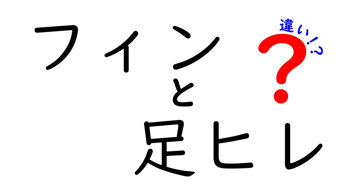 フィンと足ヒレの違いを徹底解説！使い方と特徴は？