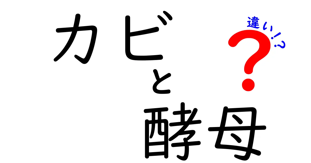 カビと酵母の違いとは？見えない微生物の世界を理解しよう！