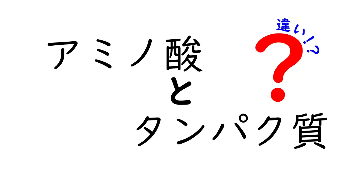 アミノ酸とタンパク質の違いを詳しく解説！あなたの体に必要な栄養素とは？