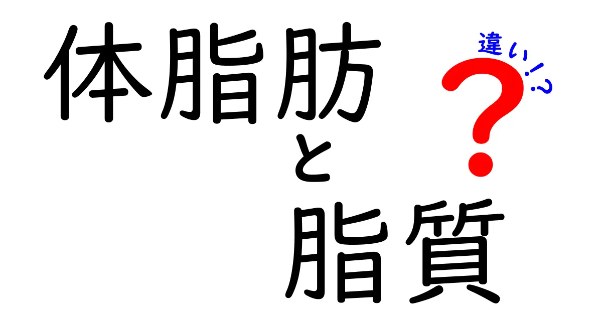 体脂肪と脂質の違いを知ろう！健康管理の基本