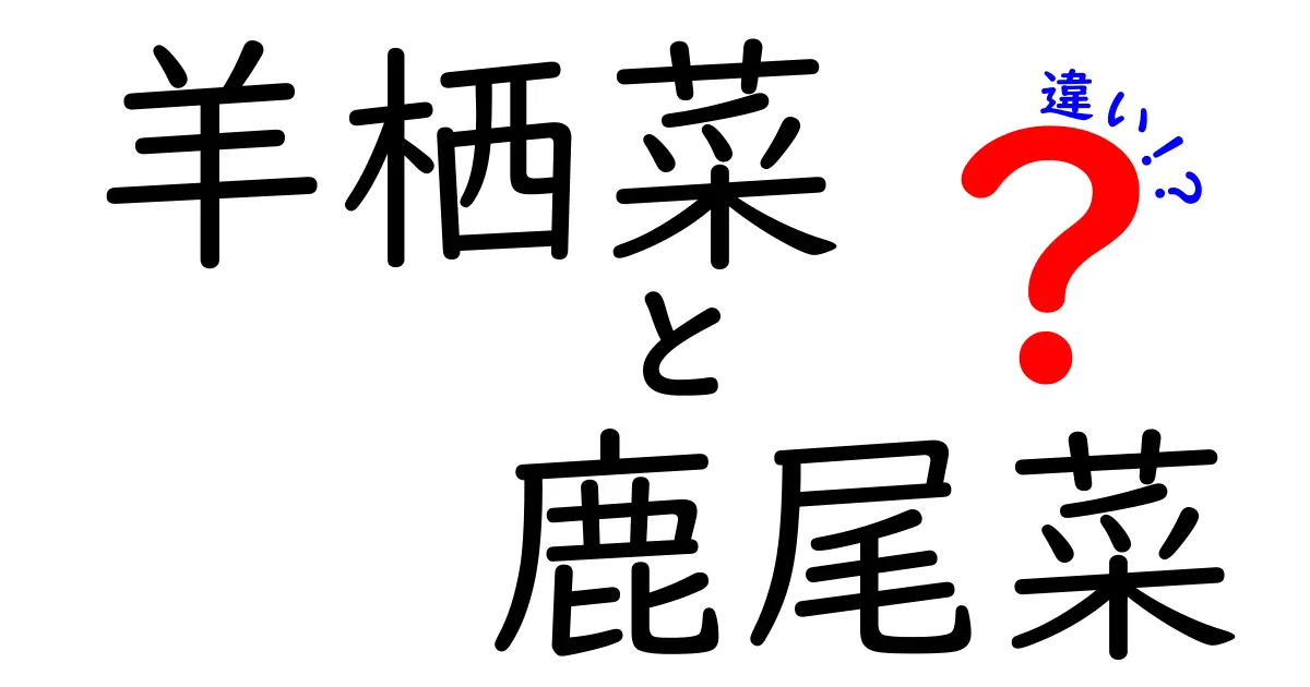 羊栖菜と鹿尾菜の違いをわかりやすく解説！その特徴とは？