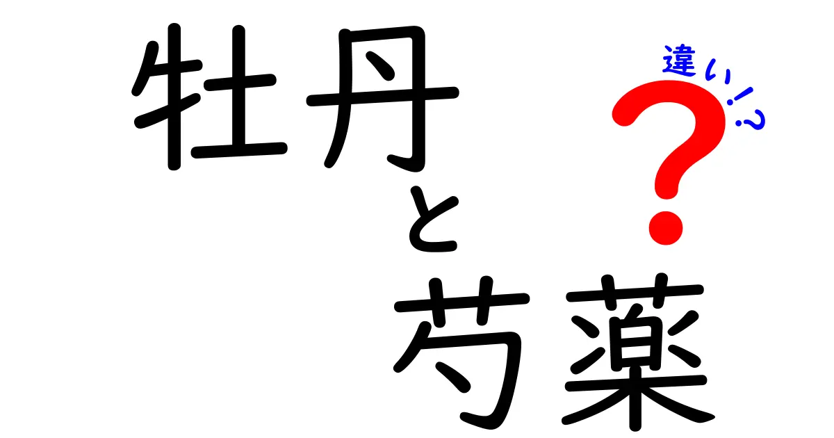 牡丹と芍薬の違いを徹底解説！美しい花々の特徴とは？