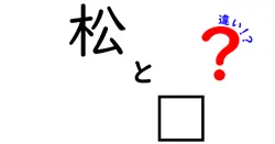 松と柗の違いを徹底解説！知っておきたい基本情報