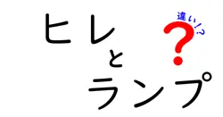 ヒレとランプの違いは？