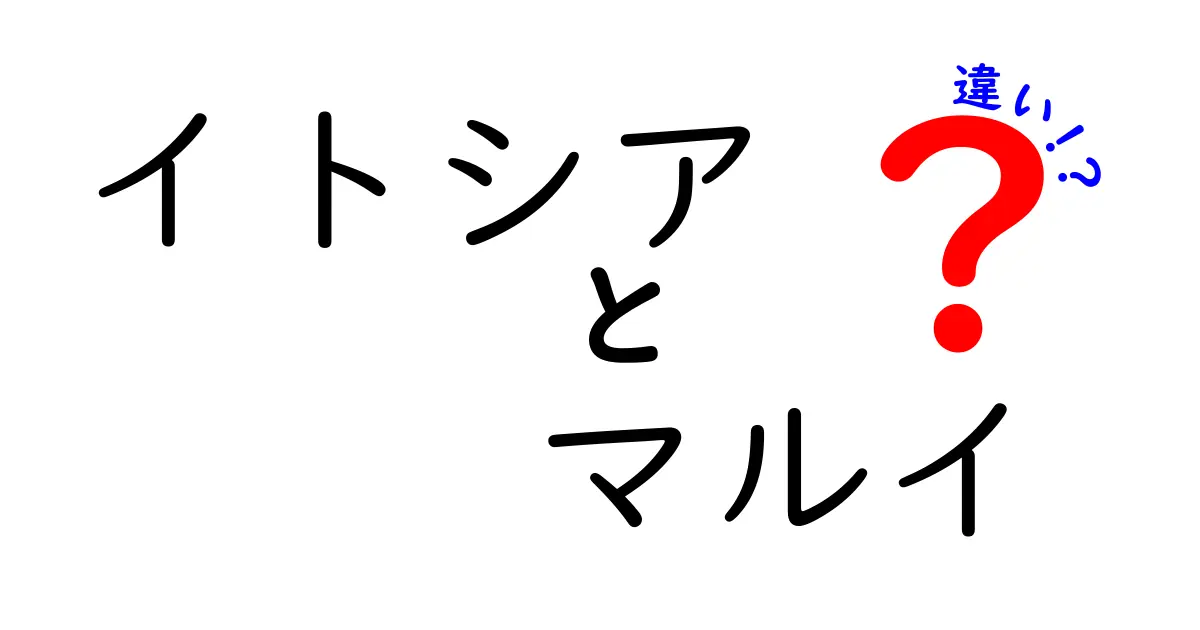 イトシアとマルイの違いとは？それぞれの魅力を徹底比較！