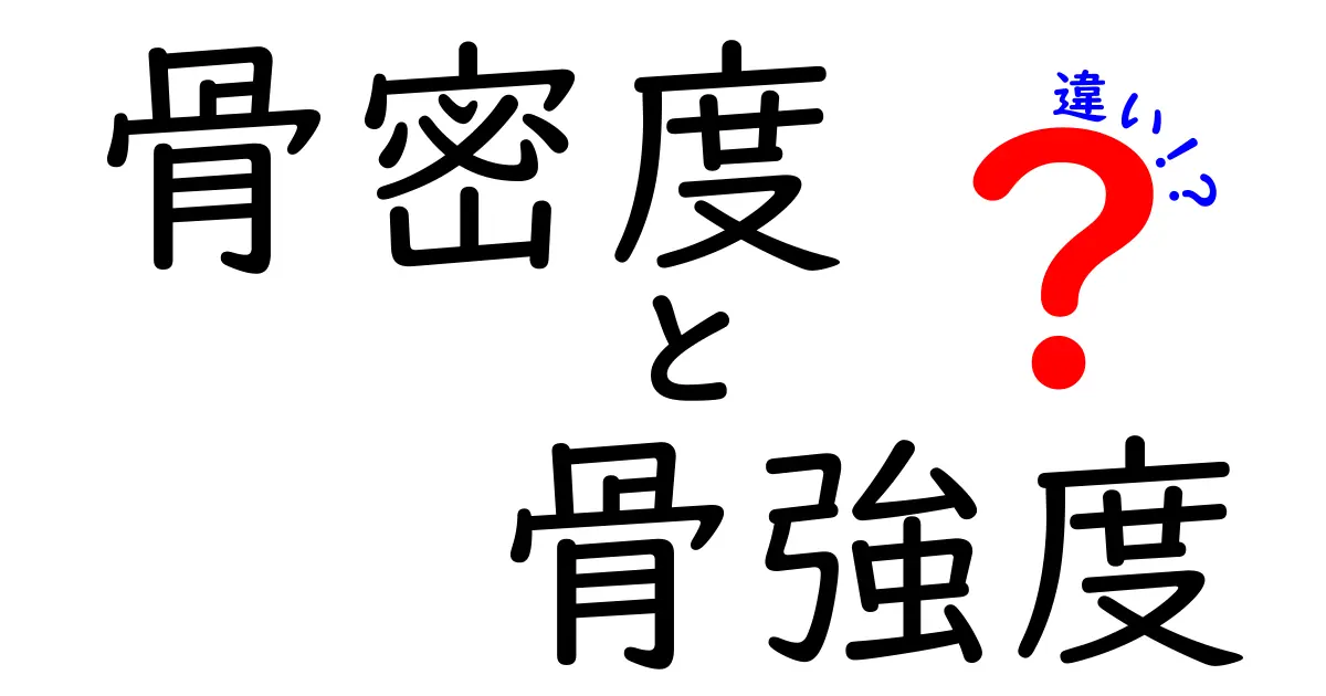 骨密度と骨強度の違いとは？健康な骨を保つために知っておきたいこと