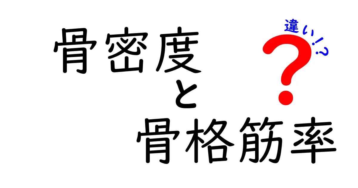 骨密度と骨格筋率の違いをわかりやすく解説！健康を見守るための重要ポイント