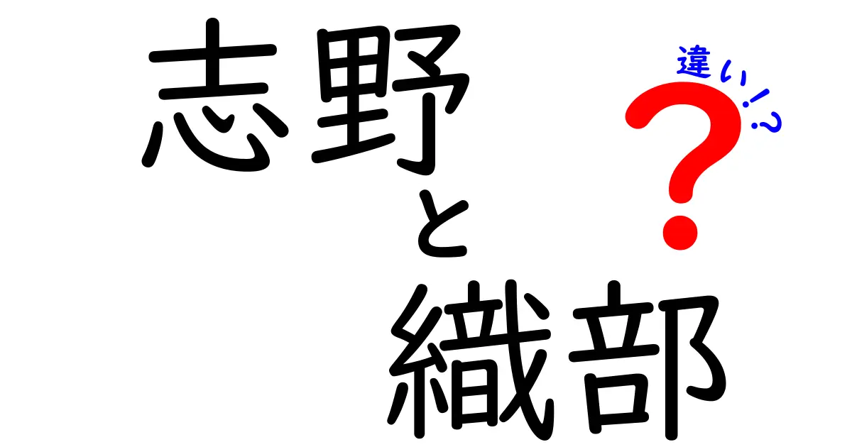 志野と織部の違いを徹底解説！あなたの知らなかった陶器の魅力